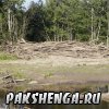 Река Пакшеньга.                 "Лодыгинская".